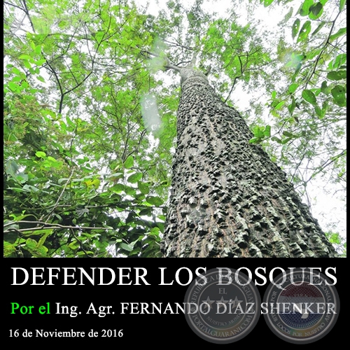  DEFENDER LOS BOSQUES - Ing. Agr. FERNANDO DAZ SHENKER - 16 de Noviembre de 2016